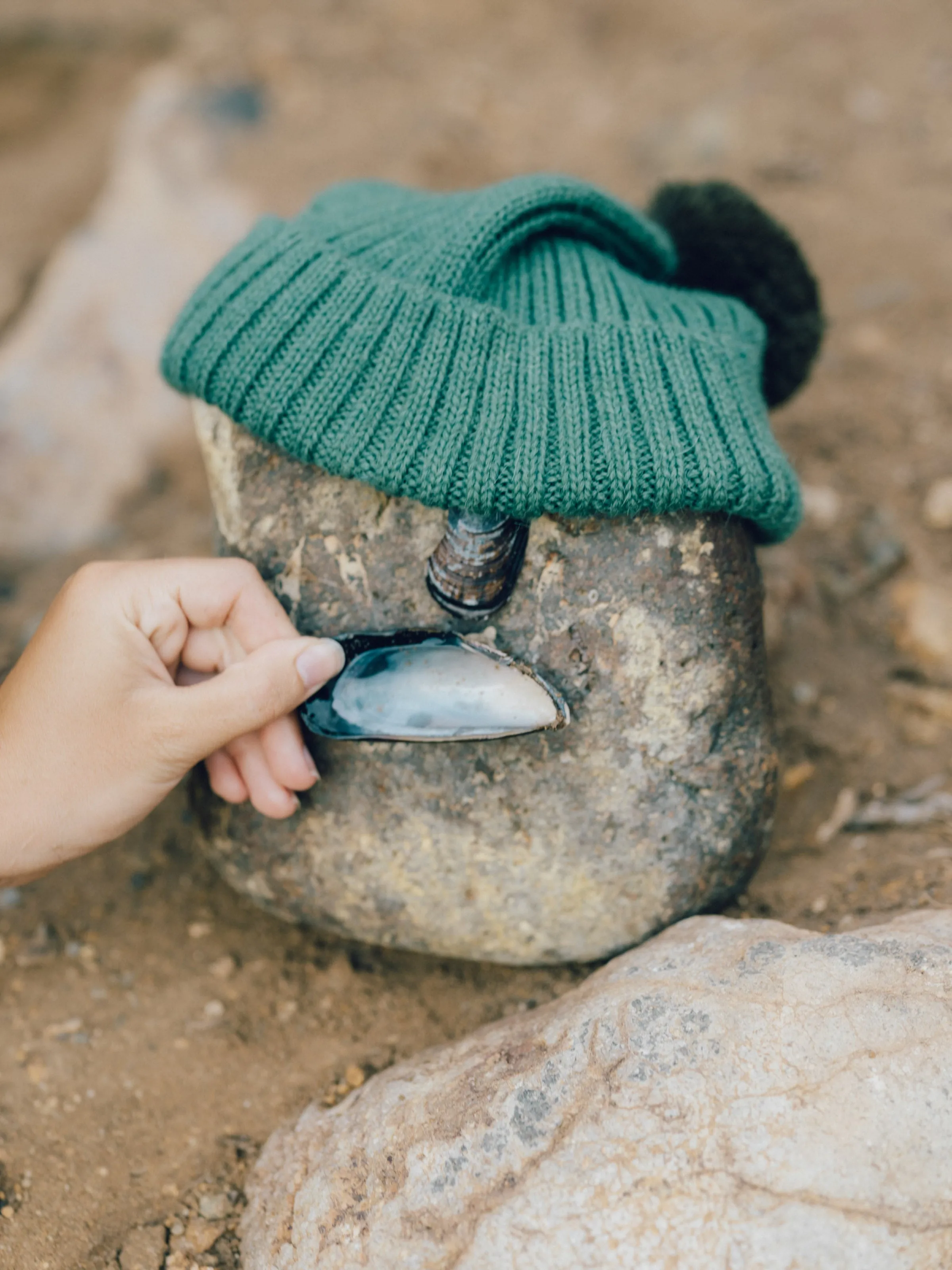 Alpaca Beanie