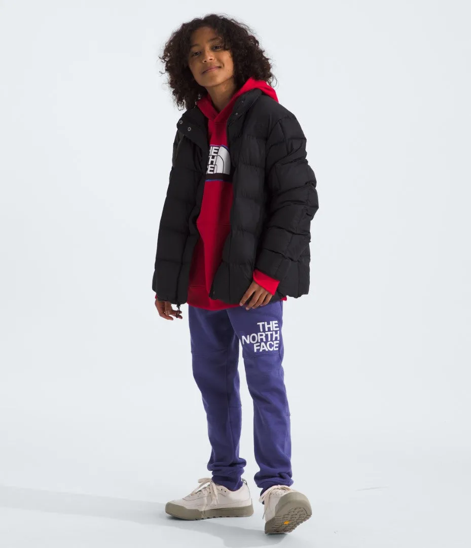 Camp Fleece Pullover Hoodie (Boys’)