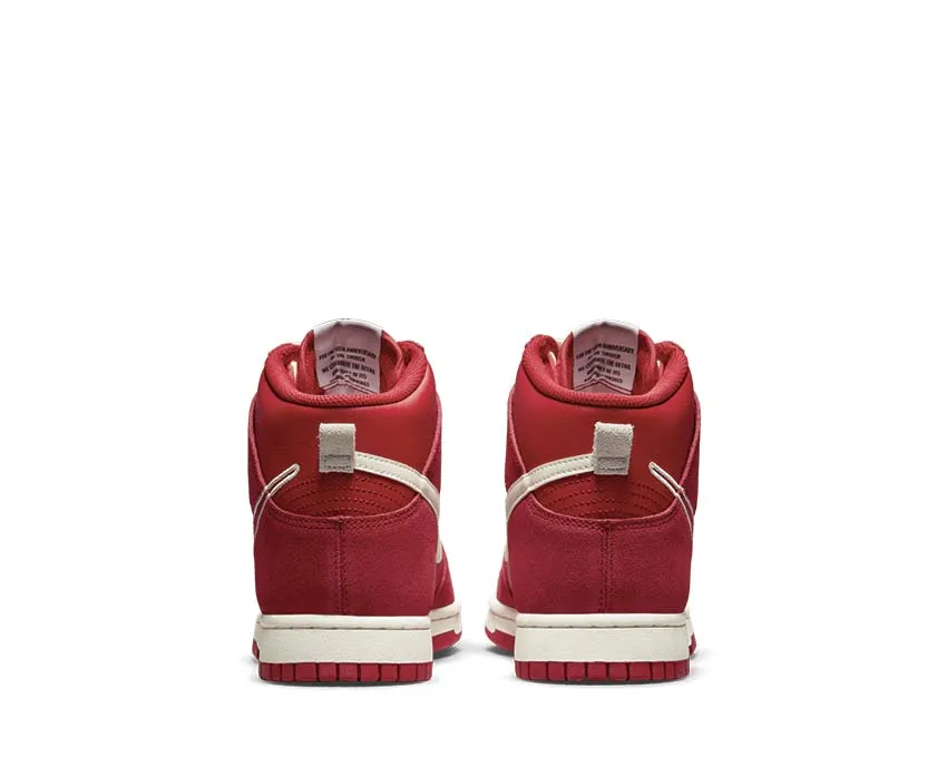 Nike Dunk High SE