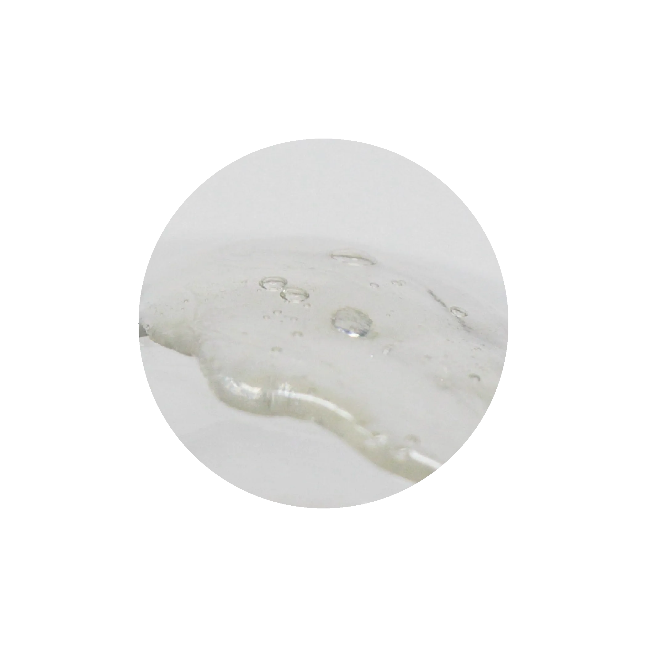 Peppermint Rosemary Aloe Vera Shampoo