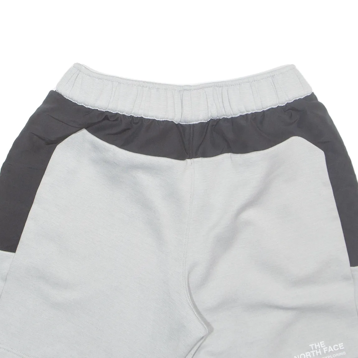 THE NORTH FACE Mens Casual Shorts Grey M W29