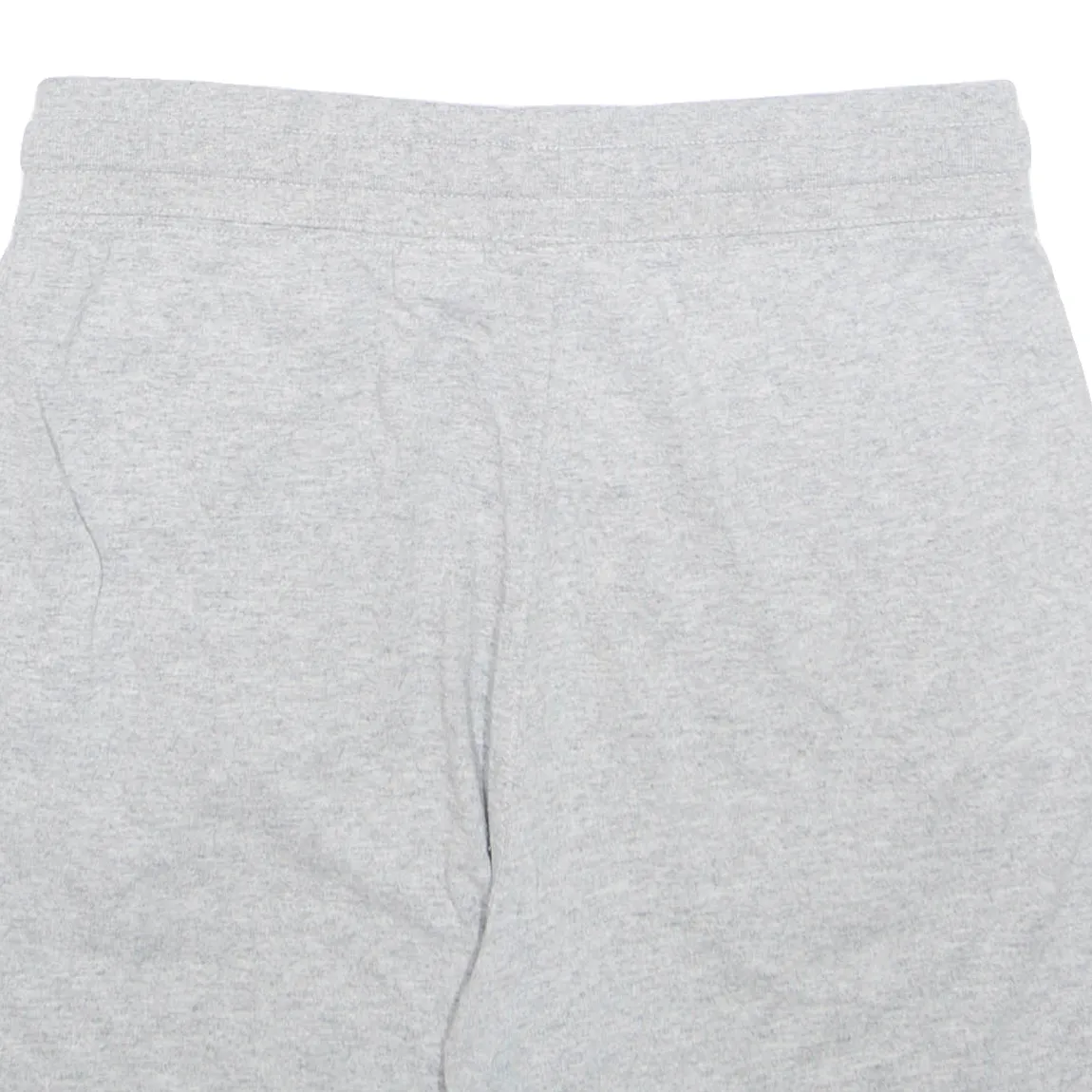 THE NORTH FACE Mens Casual Shorts Grey S W28